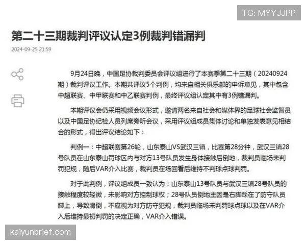 纪律委员会处罚如何影响足球比赛中的判罚执行标准解析 纪律委员会处罚如何影响足球比赛中的判罚执行标准解析